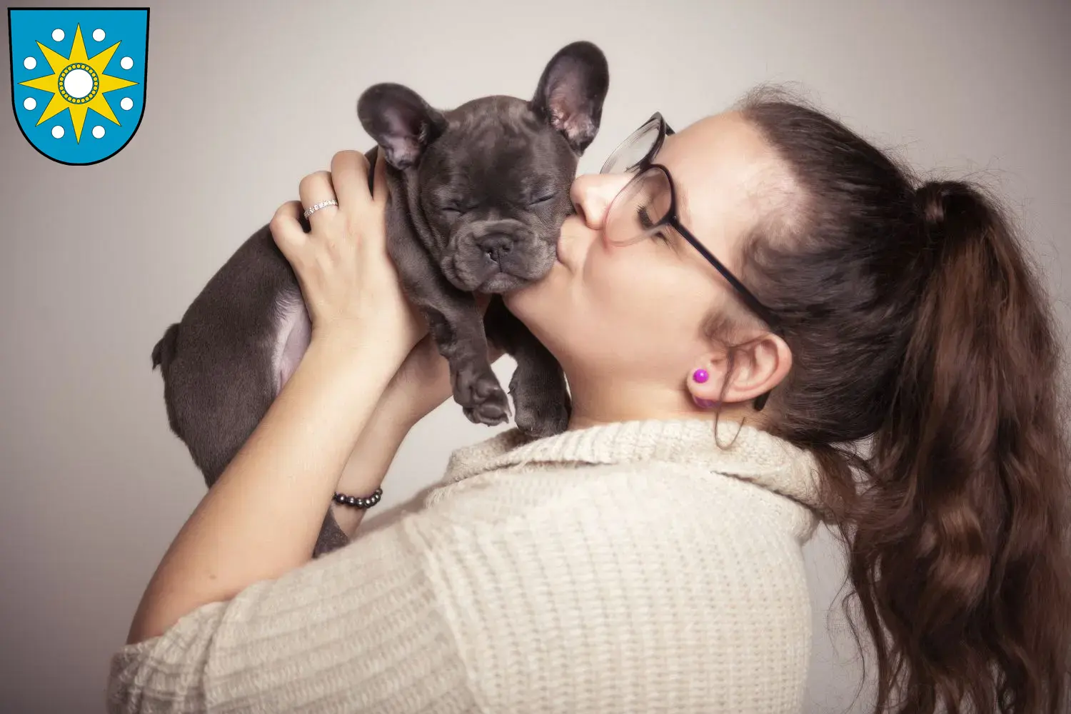 Mehr über den Artikel erfahren Französische Bulldogge Züchter und Welpen in Perleberg