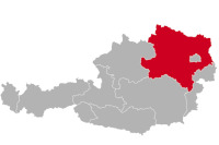 Französische Bulldogge Züchter und Welpen in Niederösterreich,NÖ, NOE, Niederösterreichisches Land, Weinviertel, Waldviertel, Mostviertel, Industrieviertel